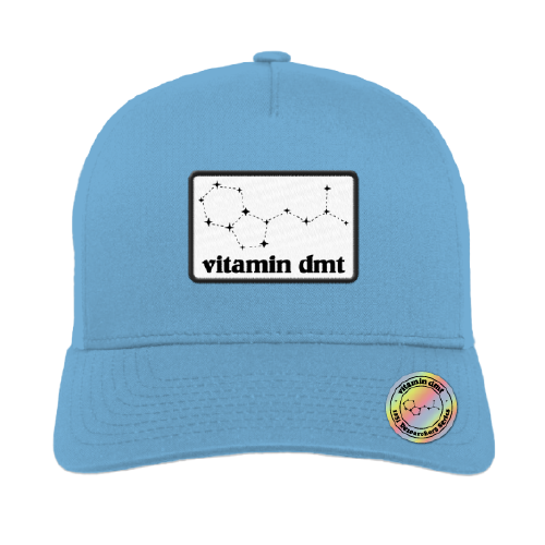 5 Panel Trucker Hat - Blue