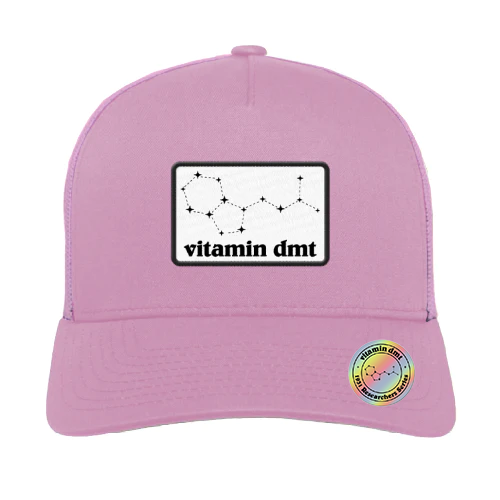 5 Panel Trucker Hat - Pink