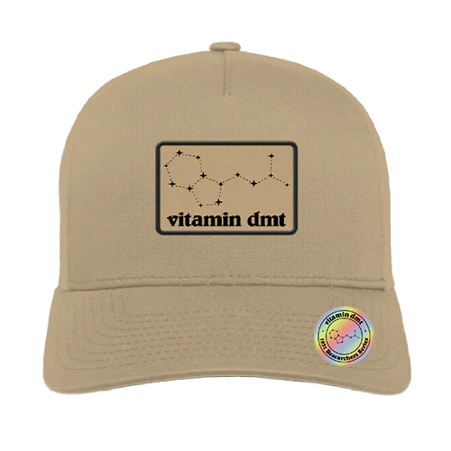 5 Panel Trucker Hat - Tan